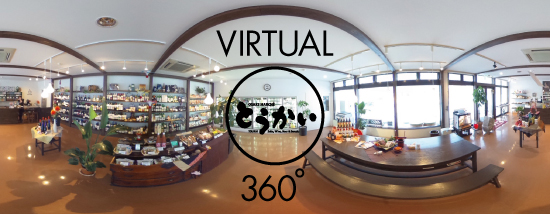 VIRTUAL 360